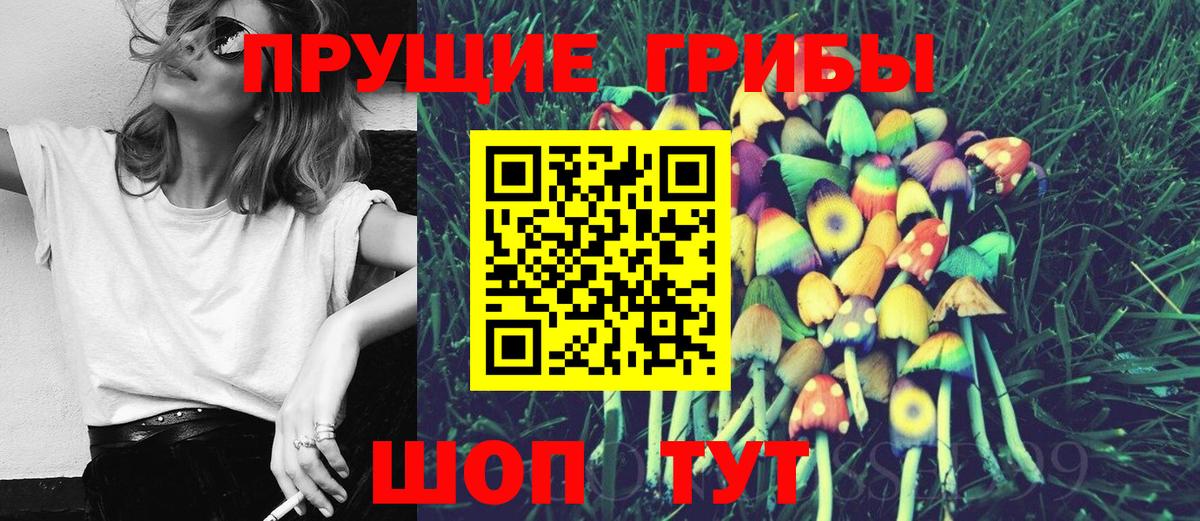 Ульяновск  Галлюциногенные грибы мухоморы  Вход с VPN  Псилоцибиновые грибы мухоморы 